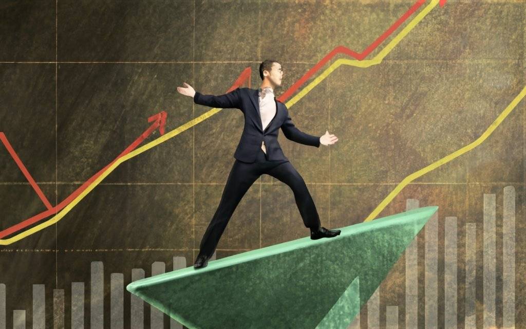  Access to Professional Management